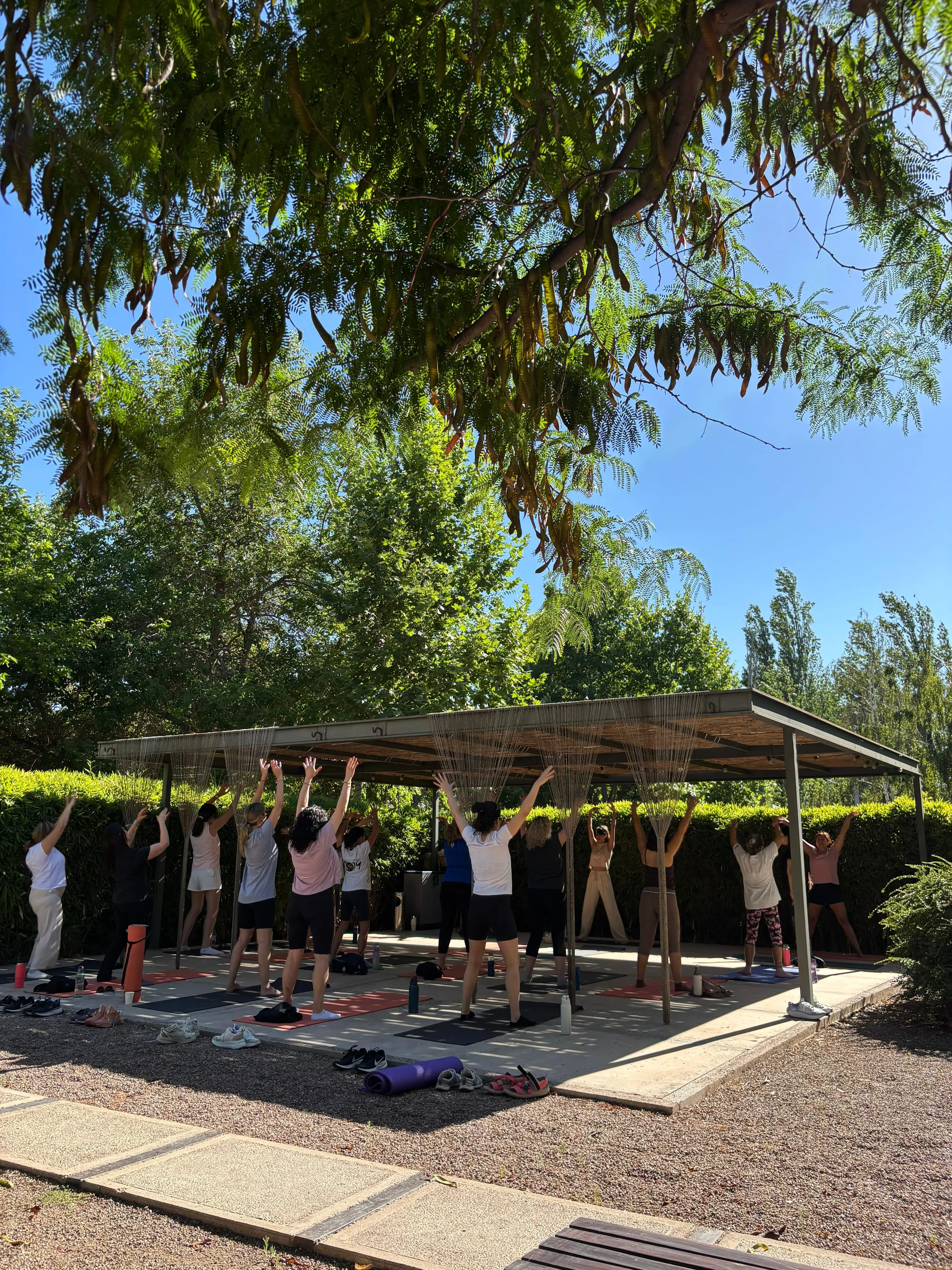 Espacio de movimiento y práctica grupal